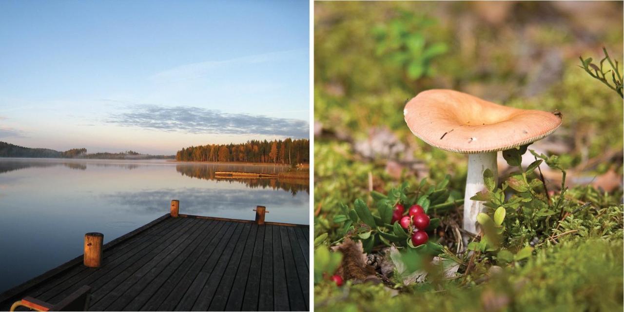 Saimaanranta Resort By Anttolanhovi S:t Michel Exteriör bild